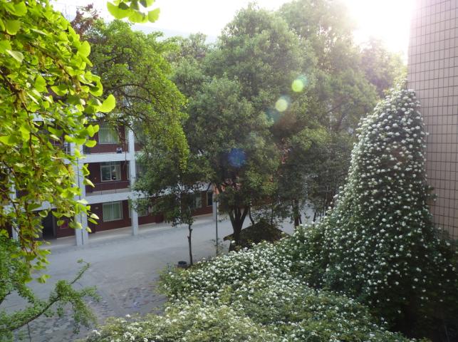 石室聯(lián)合中學(xué)蜀華分校怎么樣？