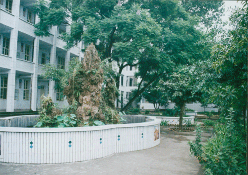 內(nèi)江十三中地址在哪？