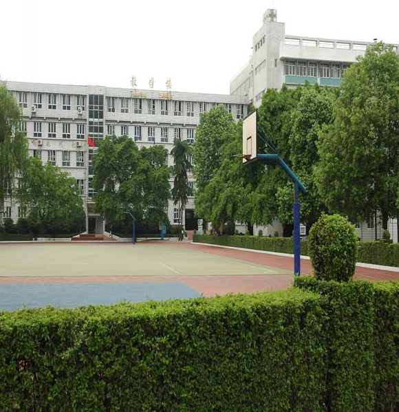 成都石室錦城外國(guó)語(yǔ)學(xué)校2019年錄取分?jǐn)?shù)線(xiàn)