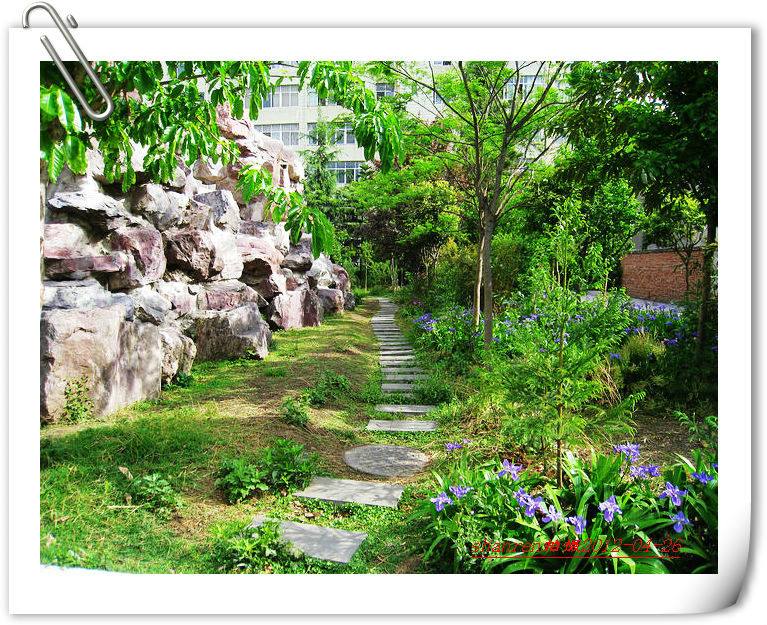 甘洛中學(xué)地址在哪里？