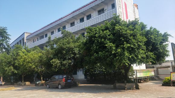 隆昌八中在哪里？