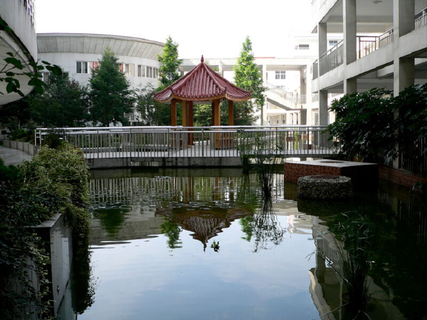 龍泉中學(xué)地址在哪里？