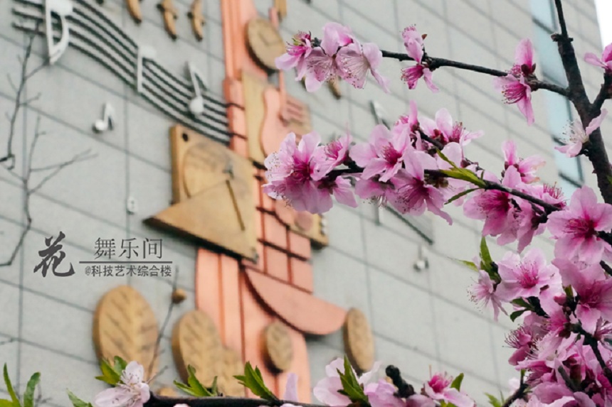 石室天府中學(xué)環(huán)境好不好、怎么樣？