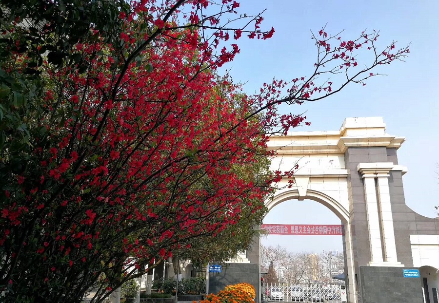 綿陽南山中學(xué)學(xué)費(fèi)貴嗎？