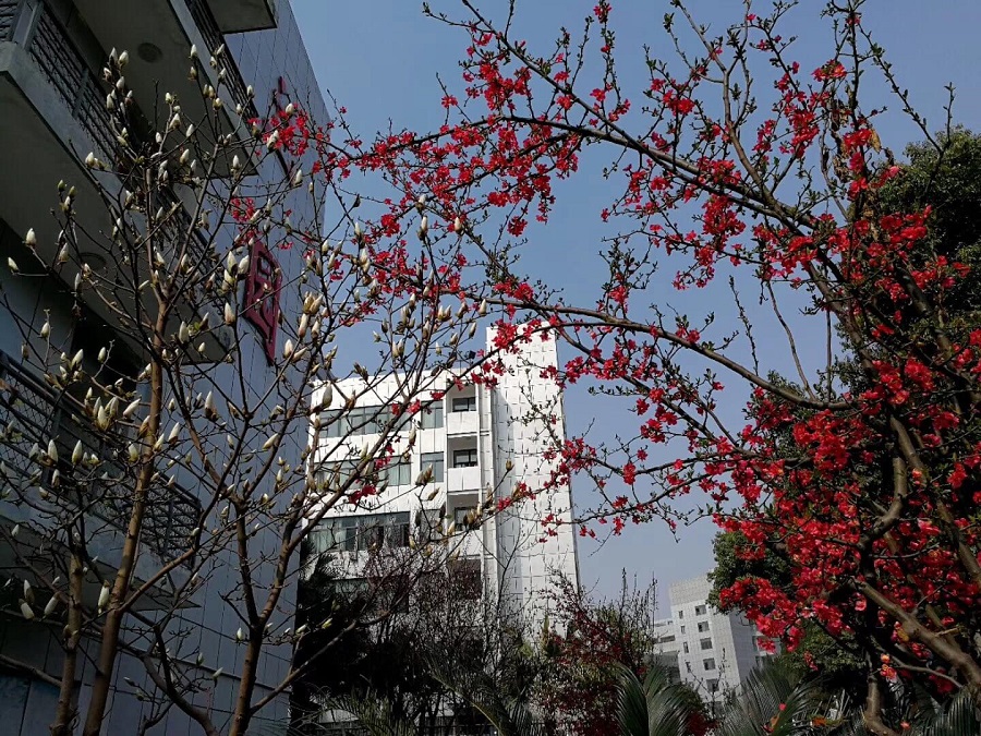 綿陽南山中學(xué)教學(xué)質(zhì)量怎么樣？