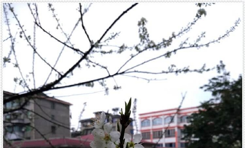 洪雅中學是一所公辦高中學嗎？
