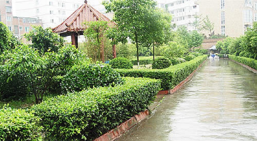 華興中學(xué)環(huán)境好不好？