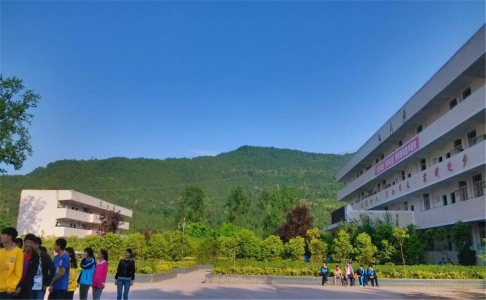 金山中學(xué)2020年學(xué)校招生計(jì)劃在哪兒看？