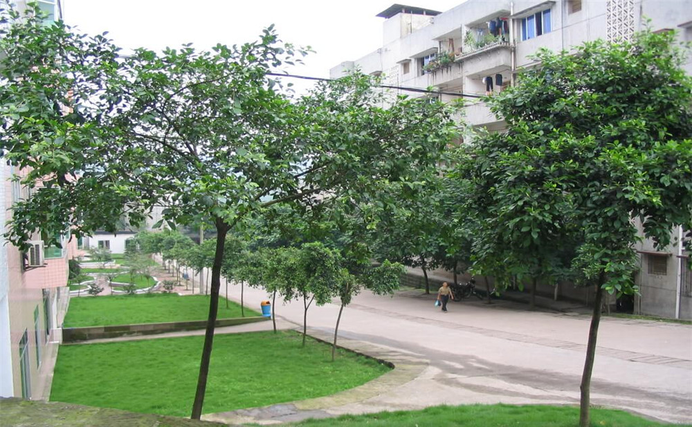 瀘州市納溪區(qū)護(hù)國(guó)中學(xué)地址在哪里？