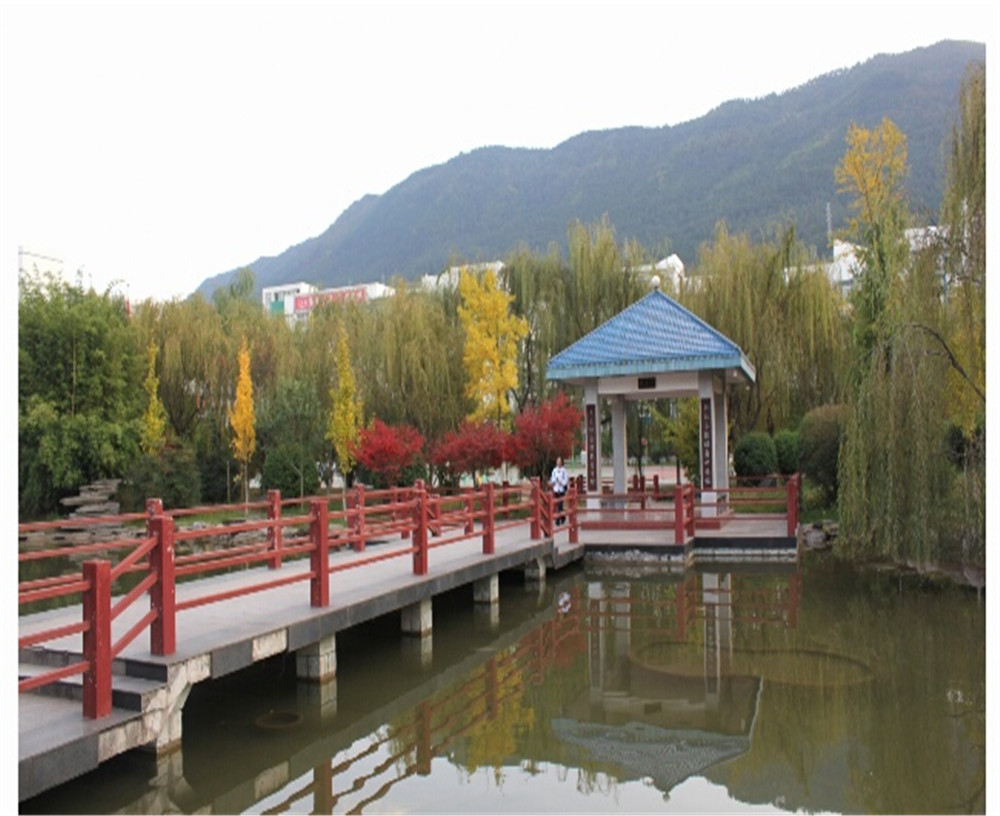 廣元外國(guó)語(yǔ)2020年招生計(jì)劃公布了嗎？