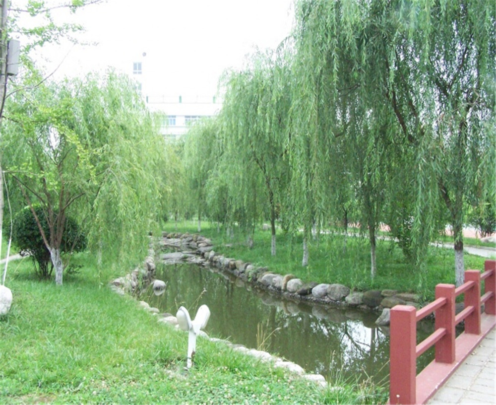 廣元外國語2020年學(xué)校招生分?jǐn)?shù)公布了嗎？