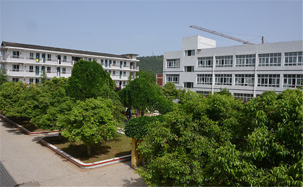 曾口中學(xué)2020年招生計劃公布了嗎？