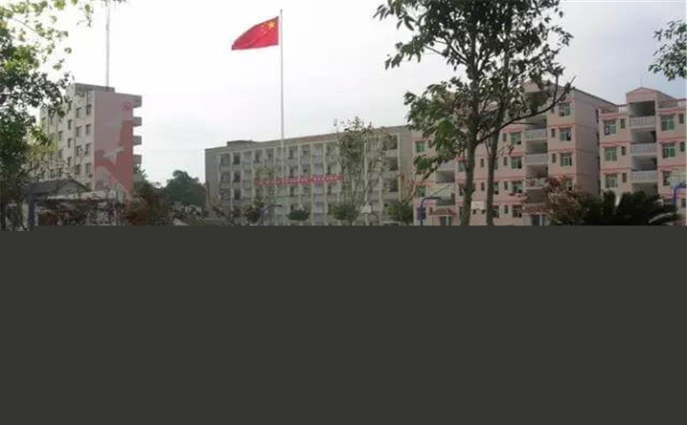 內(nèi)江市第十一中學(xué)學(xué)校環(huán)境怎么樣？