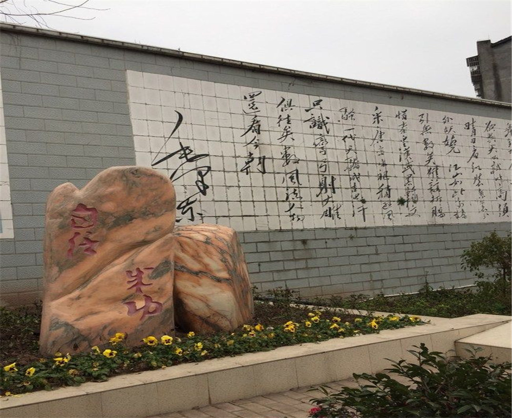 蒲家中學(xué)2020年招生計(jì)劃在哪兒看？