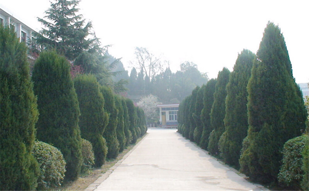 建興中學(xué)學(xué)校環(huán)境怎么樣？