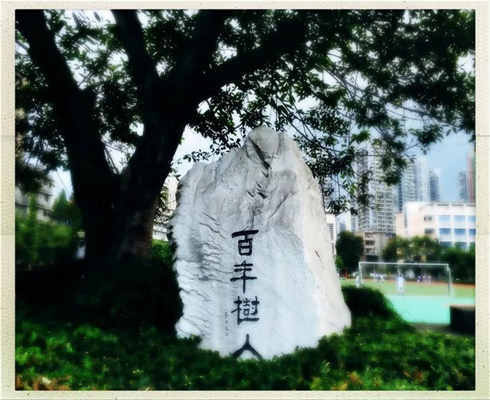 四川大學(xué)附屬中學(xué)2020年的錄取分?jǐn)?shù)線是多少？