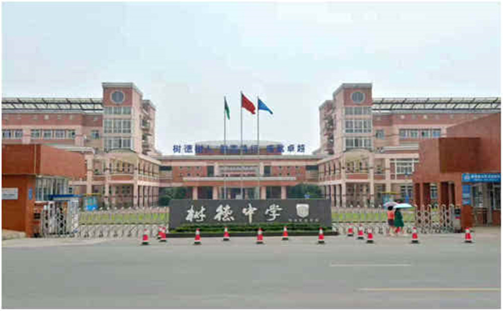 樹(shù)德博瑞實(shí)驗(yàn)學(xué)校2020年的招生計(jì)劃是多少？