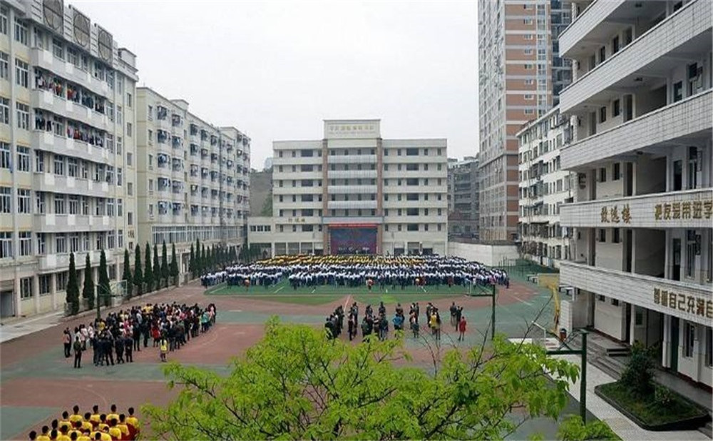 陽(yáng)安中學(xué)每年的學(xué)費(fèi)是多少？