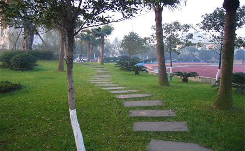 成都石室佳興外國語學(xué)校外招生一年的學(xué)費(fèi)是多少錢？