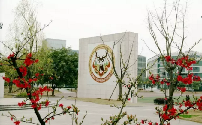 成都實(shí)驗(yàn)外國語學(xué)校（西區(qū)）2020年的招生標(biāo)準(zhǔn)是什么？