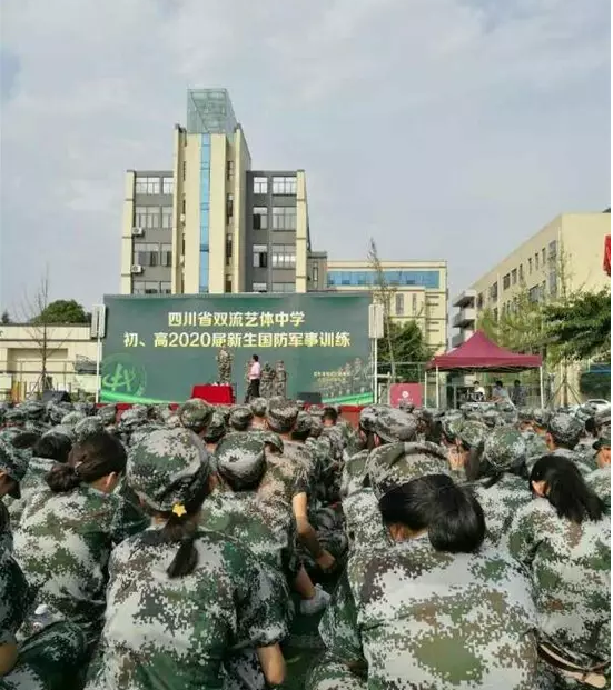 雙流藝體中學的升學率是多少？