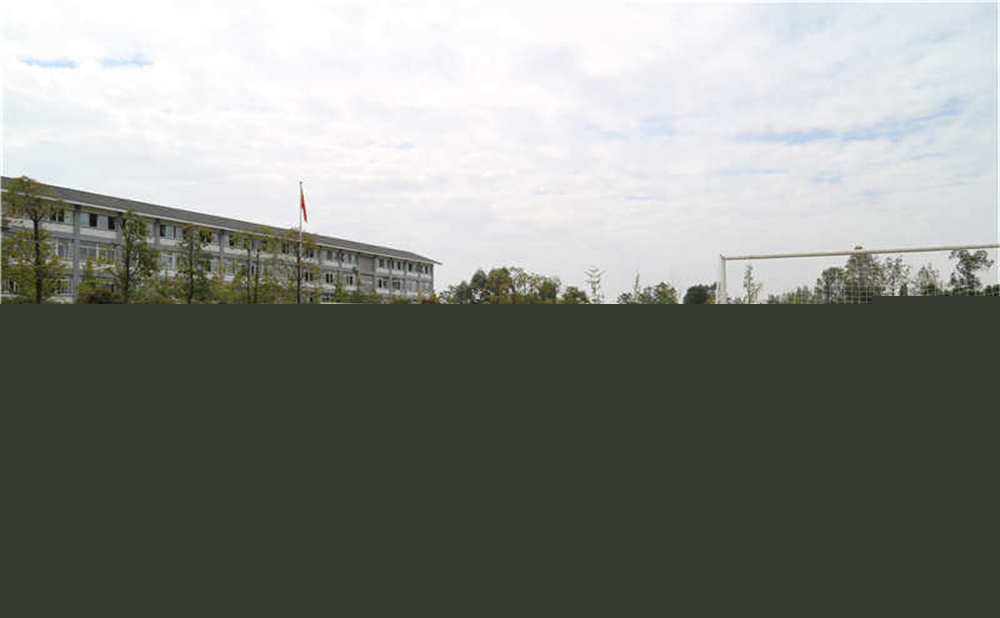 平樂中學(xué)的升學(xué)率是多少？