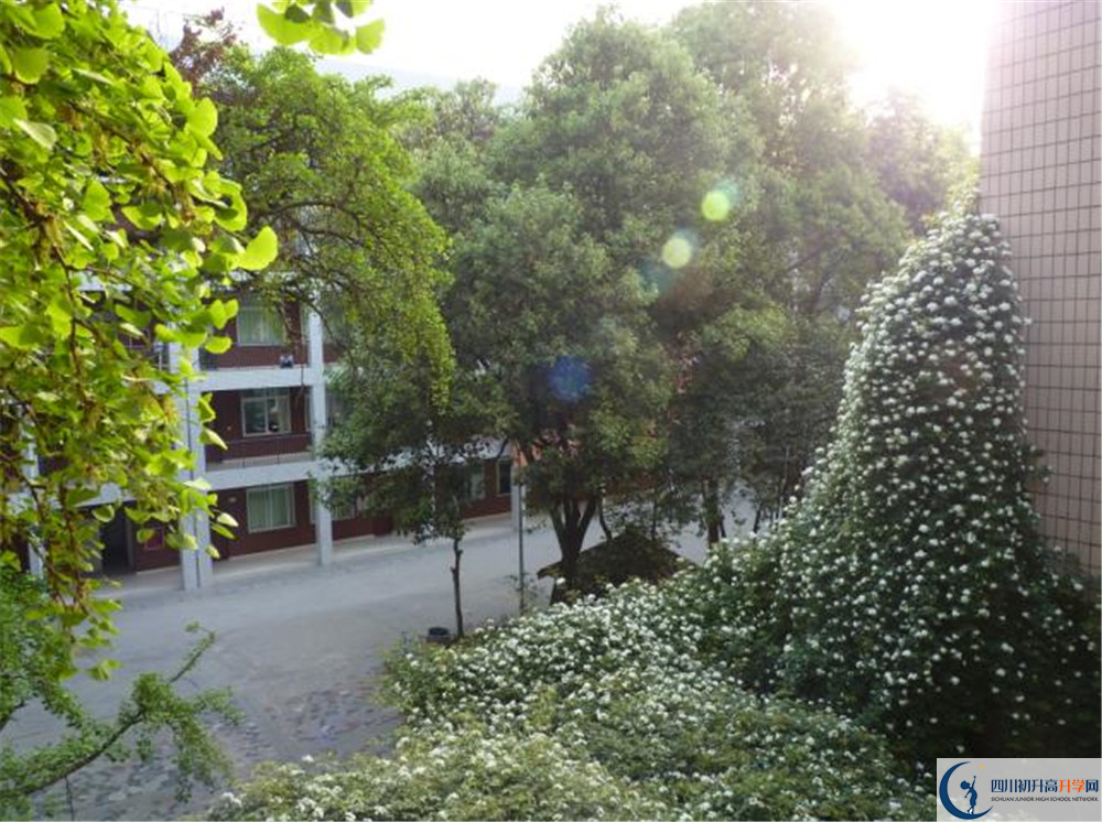 成都市石室聯(lián)中蜀華分校的升學率有多少？