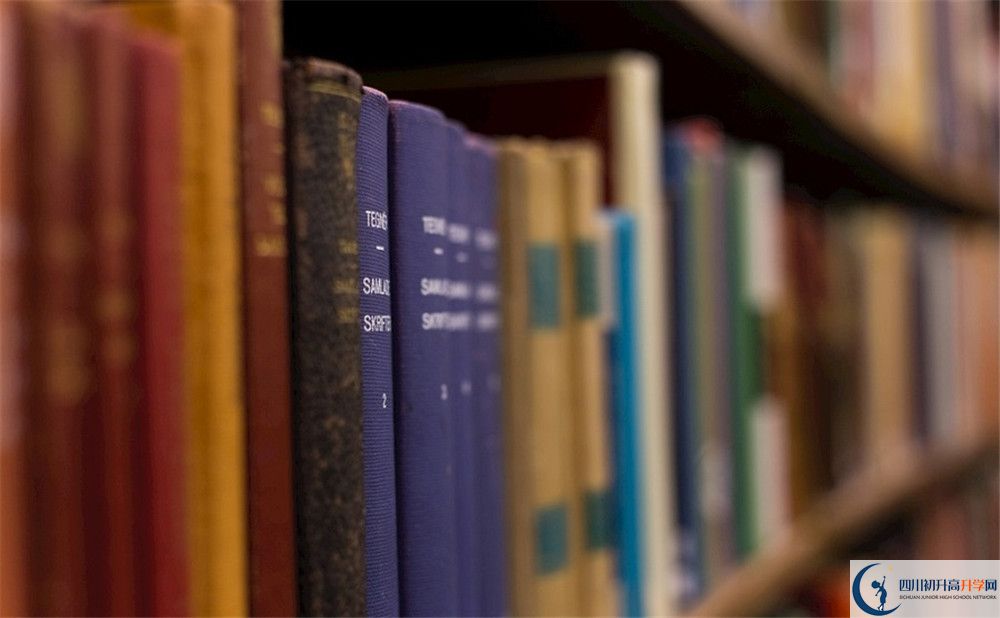 西南交通大學附屬中學的學費收費標準是多少？