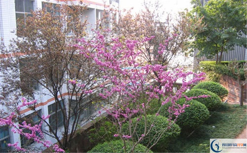 三星中學(xué)初升高的分?jǐn)?shù)線是多少？