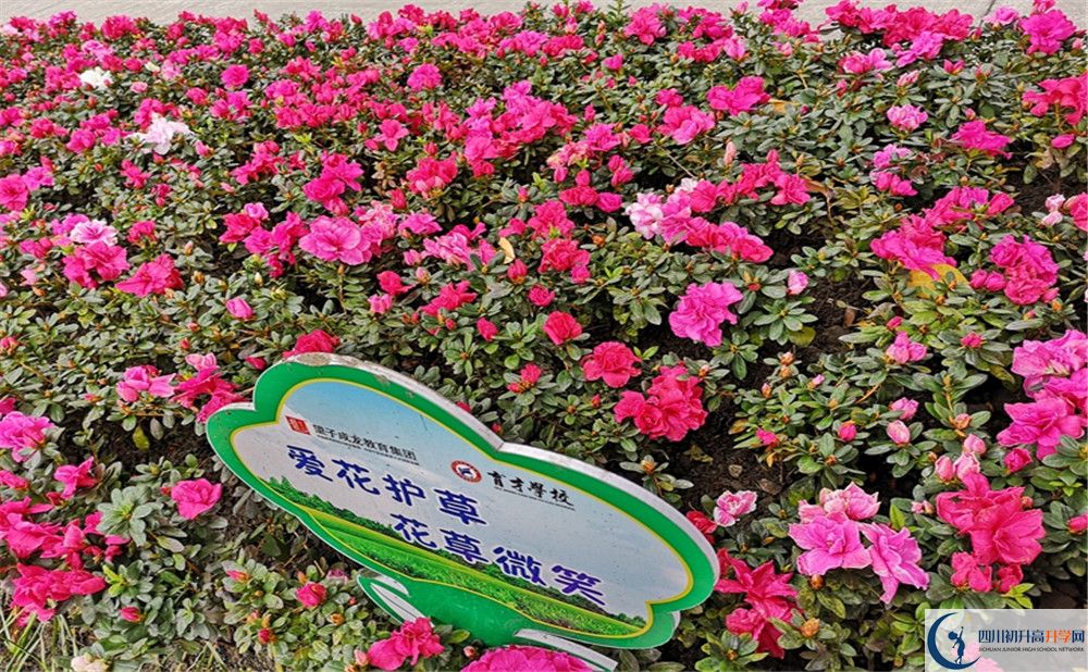 育才學(xué)校高中歷年來的分?jǐn)?shù)線是多少？