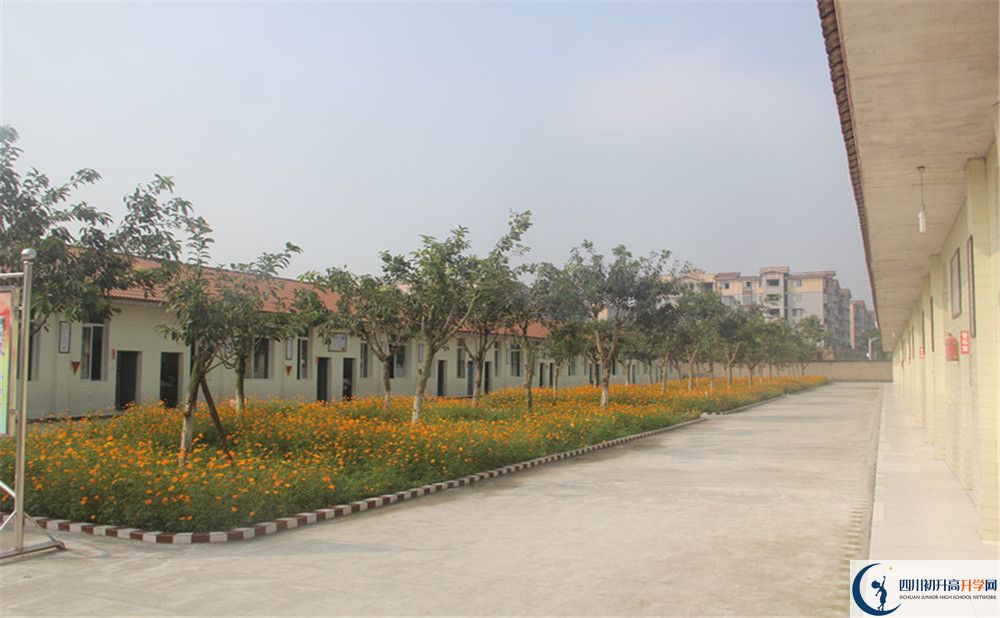 2020年強(qiáng)項(xiàng)實(shí)驗(yàn)中學(xué)自主招生考試報(bào)名時(shí)間是多久？