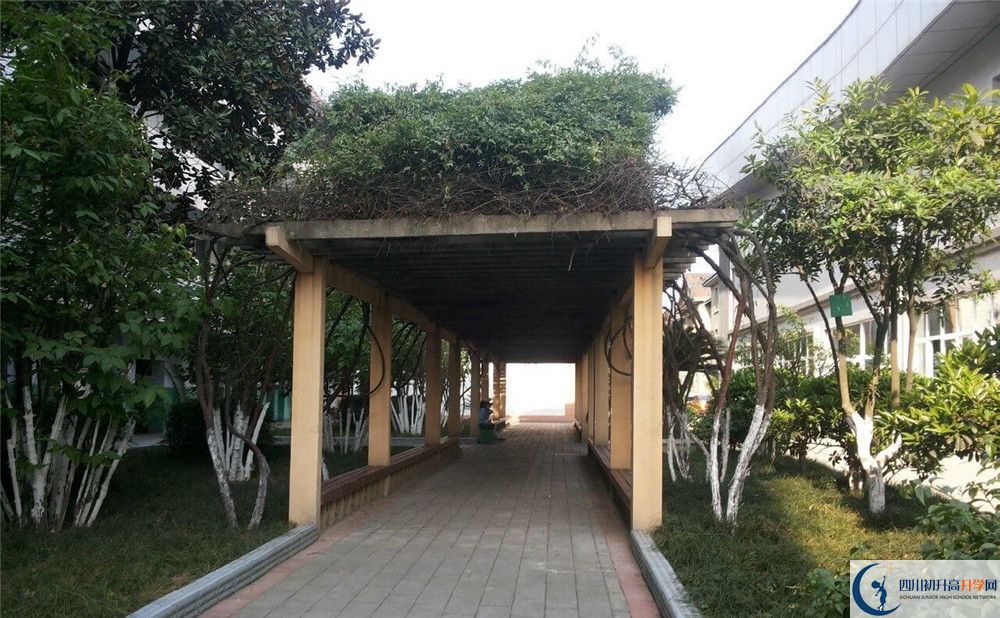 通錦中學(xué)2020年清華北大錄取學(xué)生有多少？