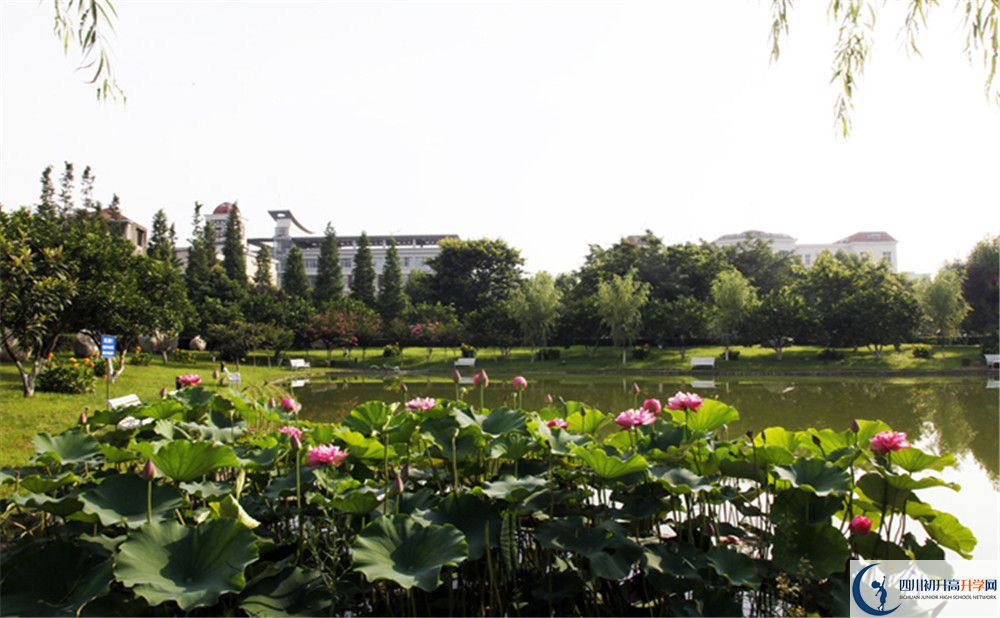 樹德懷遠(yuǎn)中學(xué)2020清華北大錄取學(xué)生是多少？
