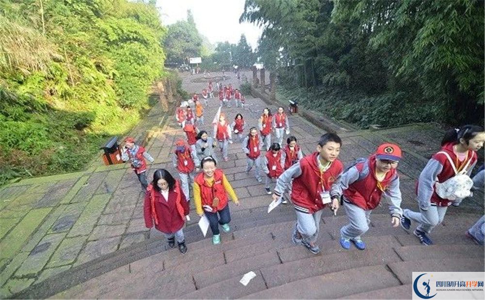 成都市泡桐樹(shù)中學(xué)2020年保送清華北大的人數(shù)是多少？