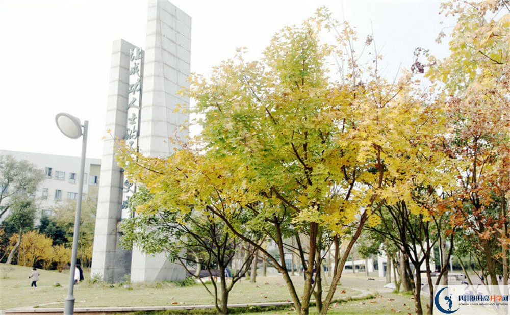 成都實(shí)驗(yàn)外國語學(xué)校（西區(qū)）2020年外地生學(xué)費(fèi)是多少？