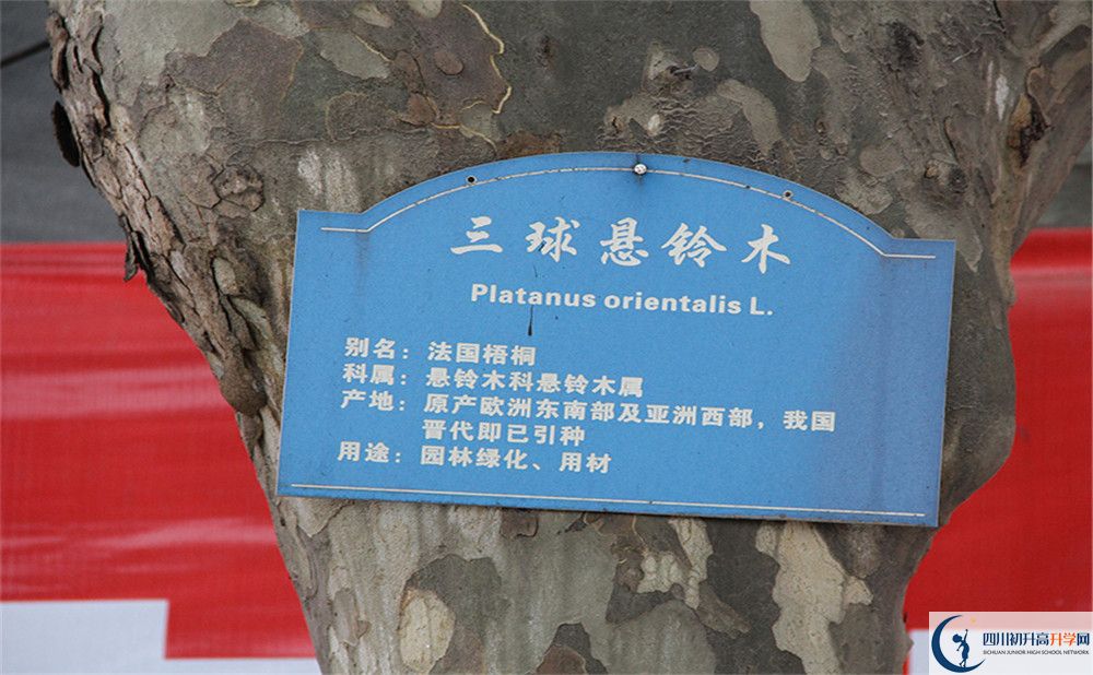 2020成都市第四十九中學(xué)高考重點(diǎn)大學(xué)升學(xué)率高嗎？