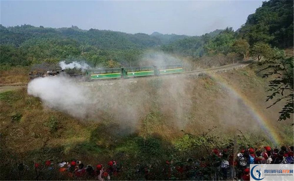 成都市泡桐樹中學(xué)國際班費(fèi)用是多少？