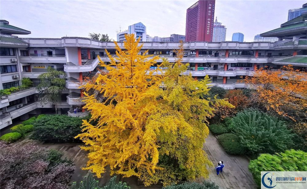 成都市泡桐樹中學2020年全國排名？