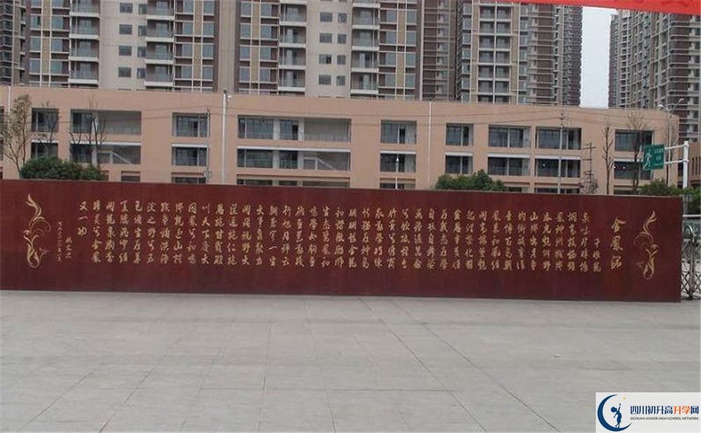 成都經(jīng)濟(jì)技術(shù)開發(fā)區(qū)實(shí)驗(yàn)中學(xué)2020年全國排名是多少？