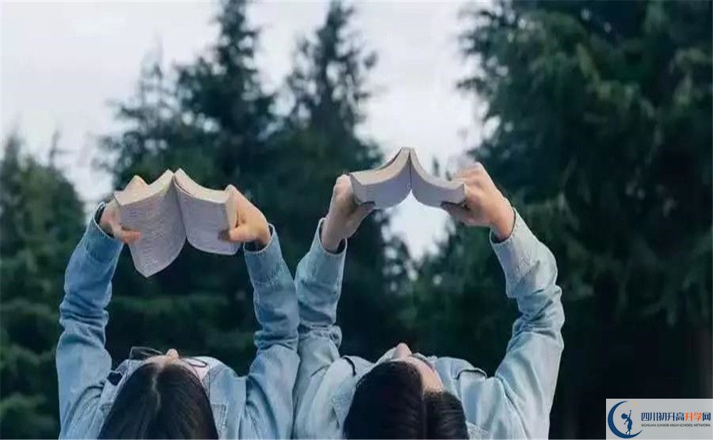 2020樹德博瑞實(shí)驗(yàn)學(xué)校初升高分班考試題難不難？			