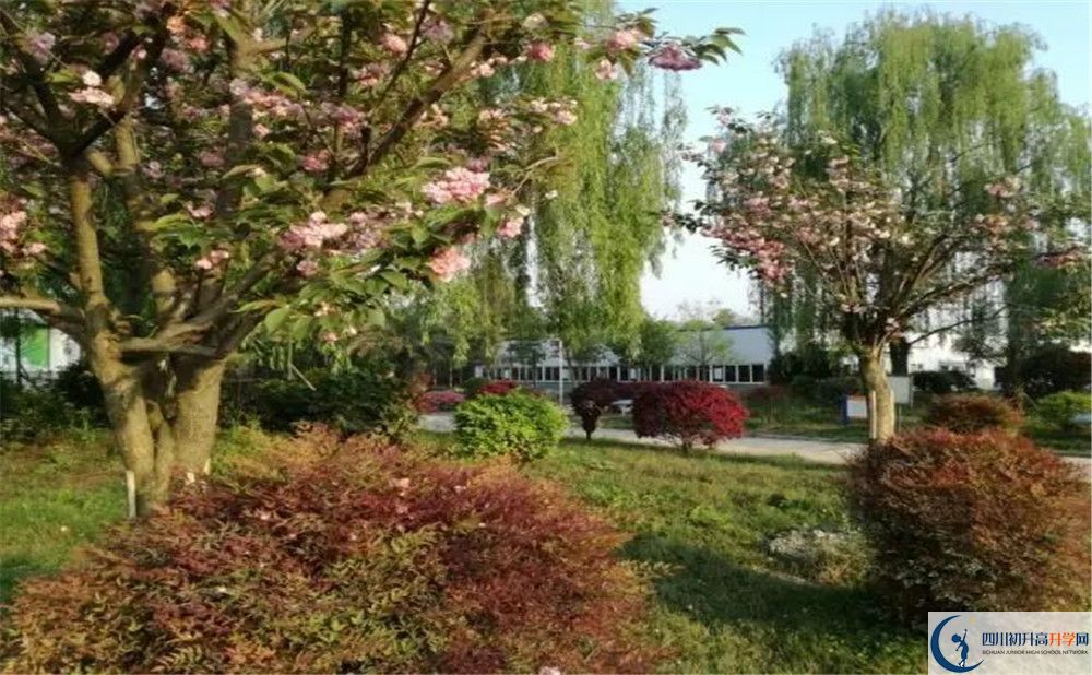 四川師范大學(xué)附屬第三實(shí)驗(yàn)中學(xué)實(shí)驗(yàn)班人數(shù)是多少？
