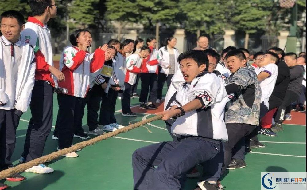 成都樹德中學(xué)面向全國招生嗎？