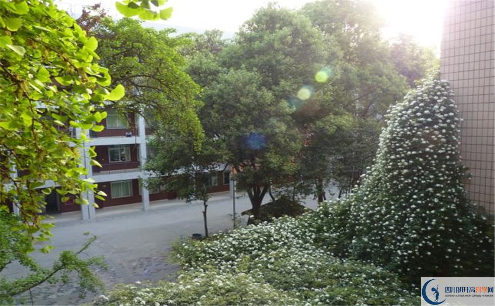石室聯(lián)合中學(xué)蜀華分校高中分班考試難嗎？