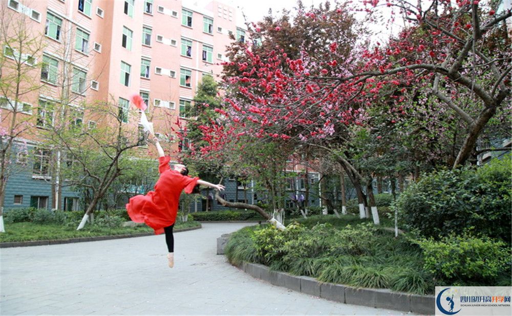 簡陽中學實驗班人數(shù)是多少？