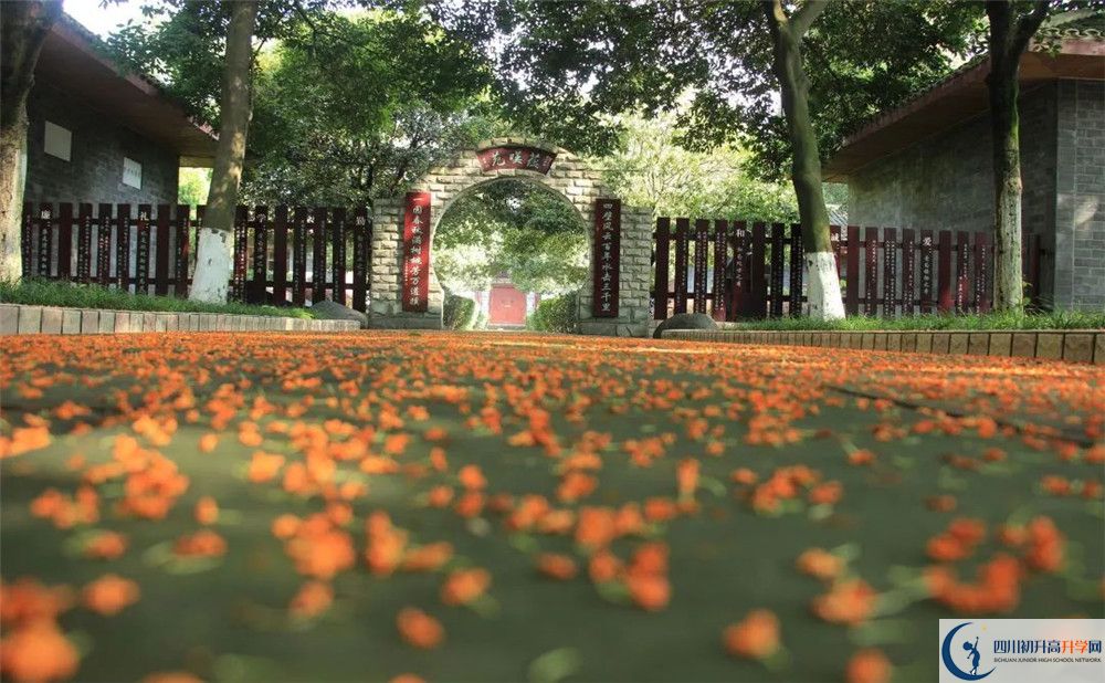 成都七中高新校區(qū)平行班中考重點(diǎn)率是多少？