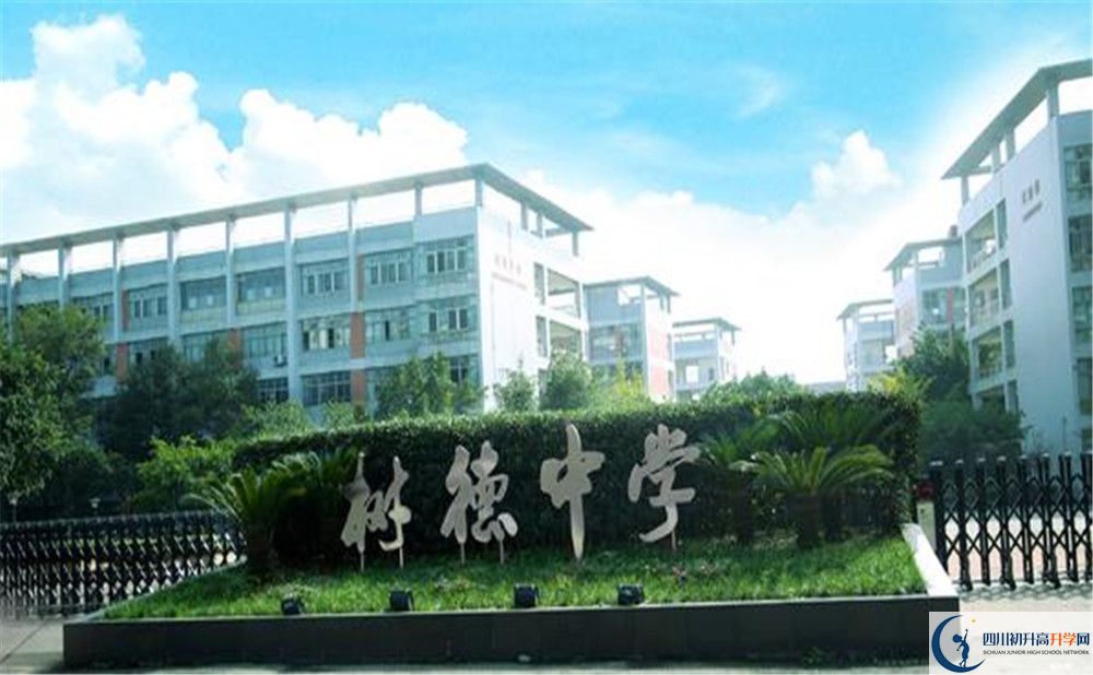 成都樹(shù)德中學(xué)光華校區(qū)補(bǔ)課嗎？