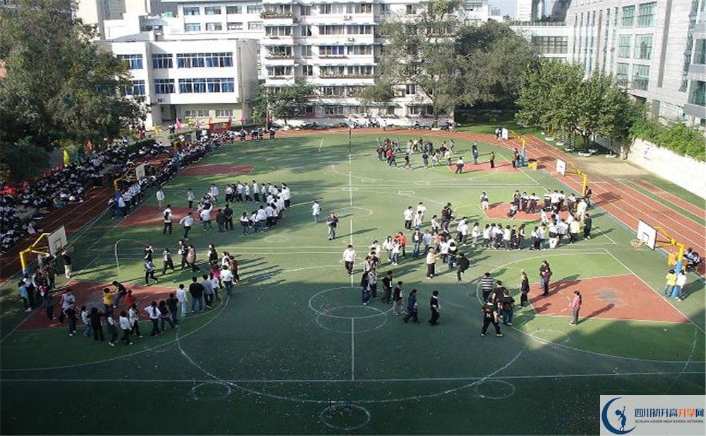 樹德博瑞實驗學校在校學生總?cè)藬?shù)是多少？