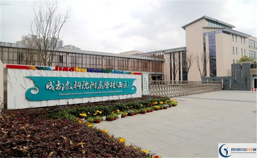 成都教科院附屬學(xué)校2020年高考人數(shù)是多少？