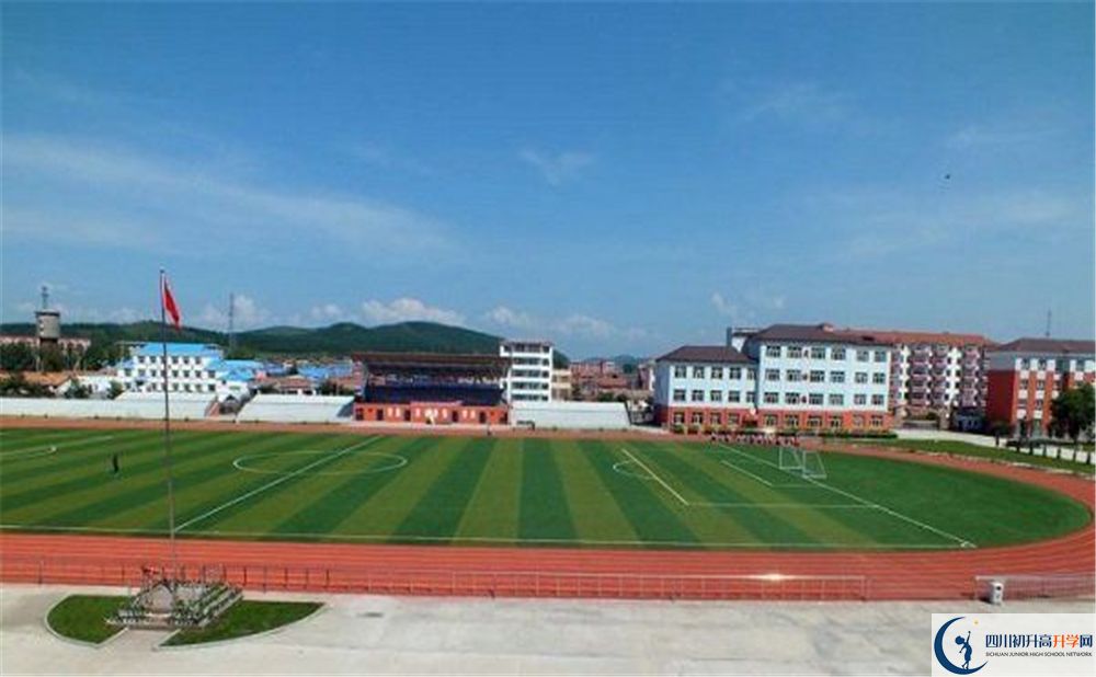 成都市華陽中學(xué)2020年高考人數(shù)是多少？