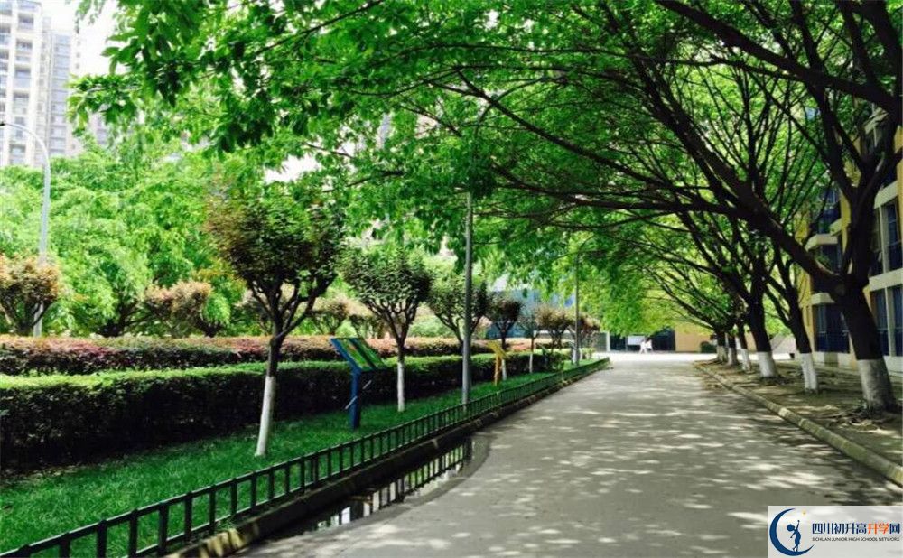 關(guān)于成都七中實(shí)驗(yàn)學(xué)校2020年招生計(jì)劃（含統(tǒng)招、調(diào)招）